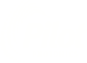 Pilot White Logo 